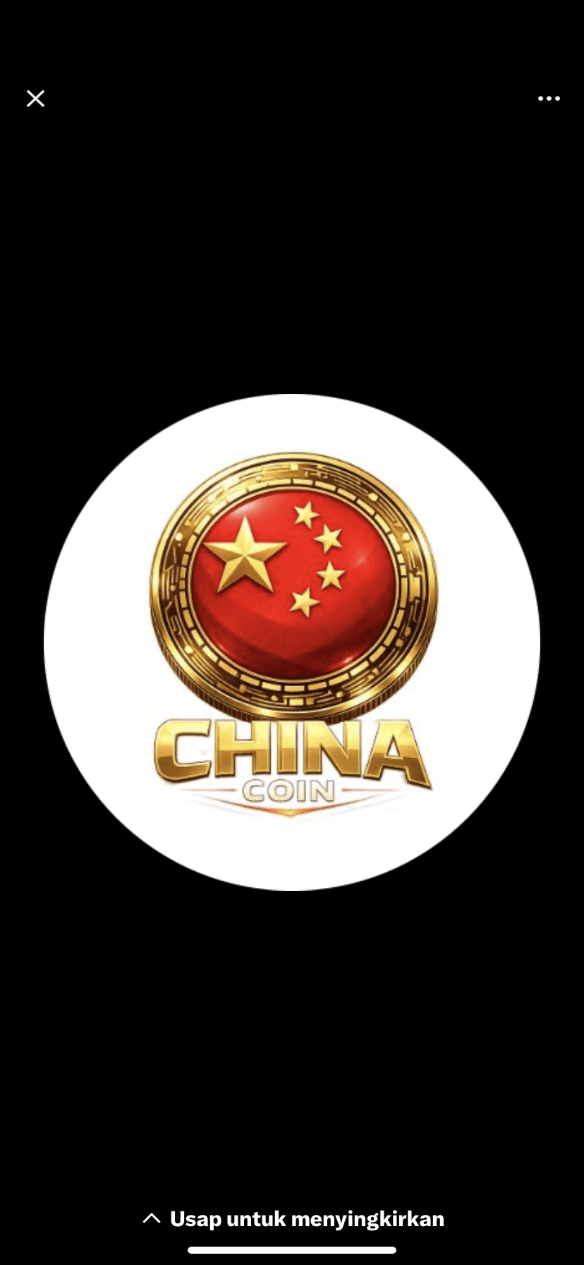 China Coin profile